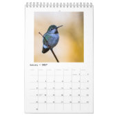 Kleiner Kolibri-Kalender Kalender (Jan 2027)