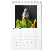 Kleiner Kolibri-Kalender Kalender (Feb 2027)