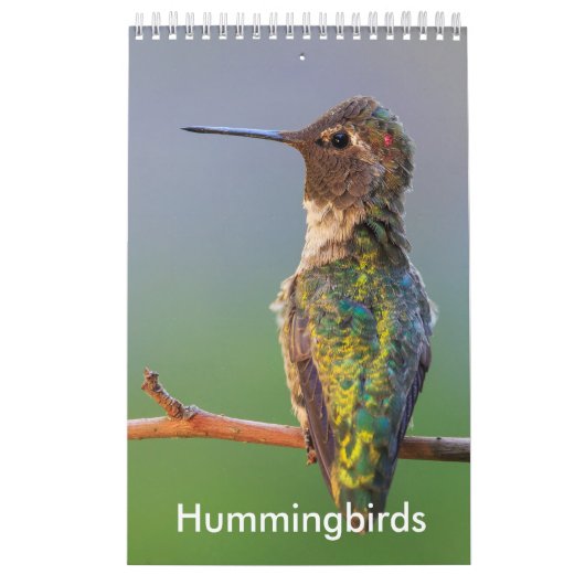 Kleiner Kolibri-Kalender Kalender (Titelbild)