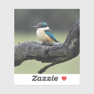 Kleiner Kookaburra Bird Aufkleber