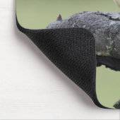 Kleiner Kookaburra Bird Mousepad (Ecke)
