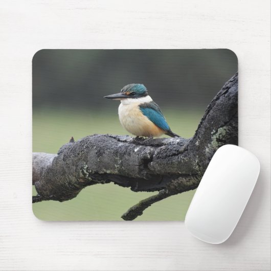 Kleiner Kookaburra Bird Mousepad (Mit Mouse)