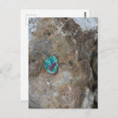 Kleiner Krautrock verborgen auf einem Felsen Postkarte (Vorne/Hinten)