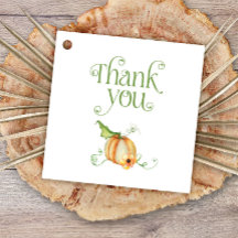 Kleiner Kürbis auf die neutrale Babydusche