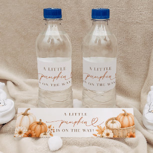 Kleiner Kürbis Herbst Babyshower Wasserflaschenetikett