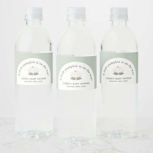 Kleiner Kürbis ist auf dem Weg zur Babydusche Wasserflaschenetikett (Flaschen)