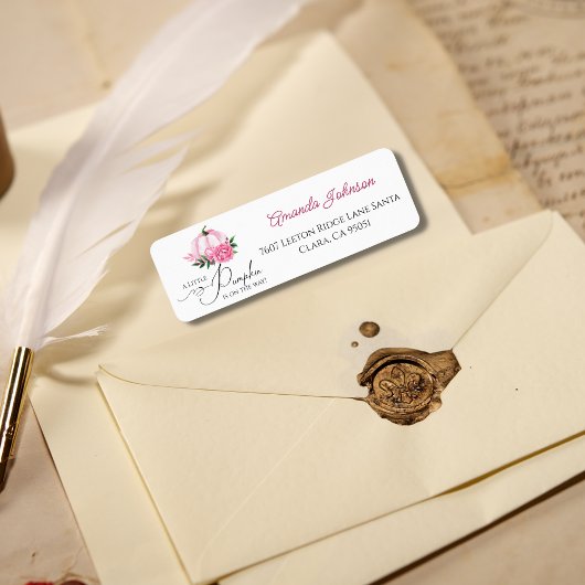 Kleiner Kürbis Rosa Fall Rustikale Babydusche