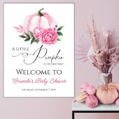 Kleiner Kürbis Rosa Fall Rustikale Babydusche Poster