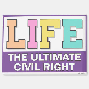 Kleiner Magnet mit einem Design in Pastellfarben.