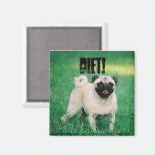 KLEINER MOPS ERINNERT, DASS DU DICH AUF DIET BEFIN MAGNET (Vorderseite/Rückseite)