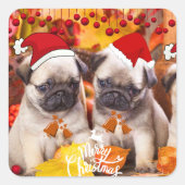 Kleiner Mops Sticker (Vorderseite)