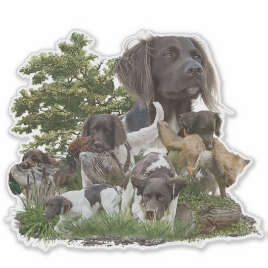 Kleiner Munsterlander Aufkleber (Vorderseite)