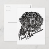 Kleiner Munsterlander (Logo) Postkarte (Vorne/Hinten)