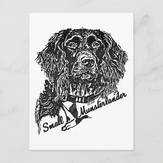 Kleiner Munsterlander (Logo) Postkarte (Vorderseite)