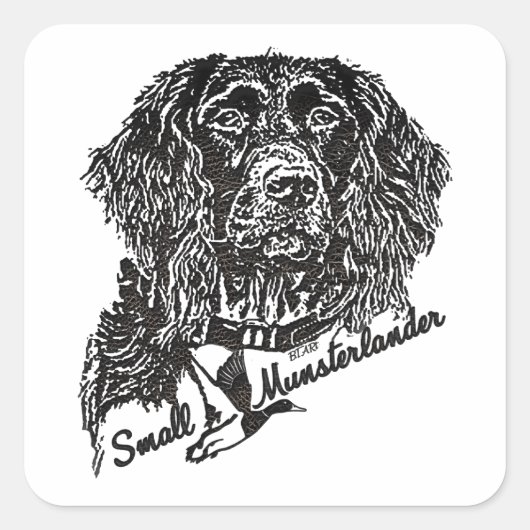 Kleiner Munsterlander (Logo) Quadratischer Aufkleber (Vorderseite)
