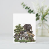 Kleiner Munsterlander Postkarte (Stehend Vorderseite)