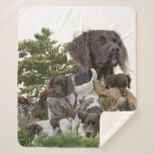 Kleiner Munsterlander Sherpadecke (Vorderseite)