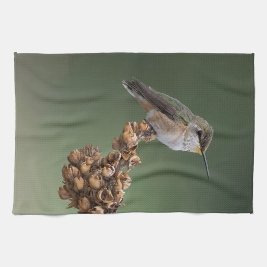 Kleiner Orange Hummingbird Geschirrtuch (Horizontal)