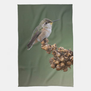 Kleiner Orange Hummingbird Geschirrtuch