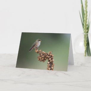 Kleiner Orange Hummingbird Karte