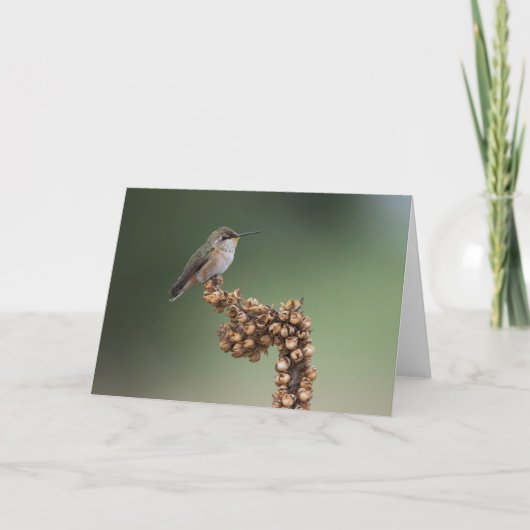 Kleiner Orange Hummingbird Karte (Vorderseite)
