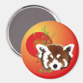 Kleiner Panda (Ailurus fulgens) Magnet (Vorderseite/Rückseite)