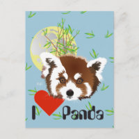 Kleiner Panda (Ailurus fulgens) Postkarte