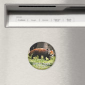 Kleiner Panda Magnet (In Situ (Geschirrspüler))