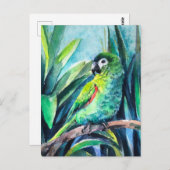 Kleiner Papagei Postkarte (Vorne/Hinten)