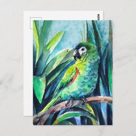 Kleiner Papagei Postkarte (Vorne/Hinten)