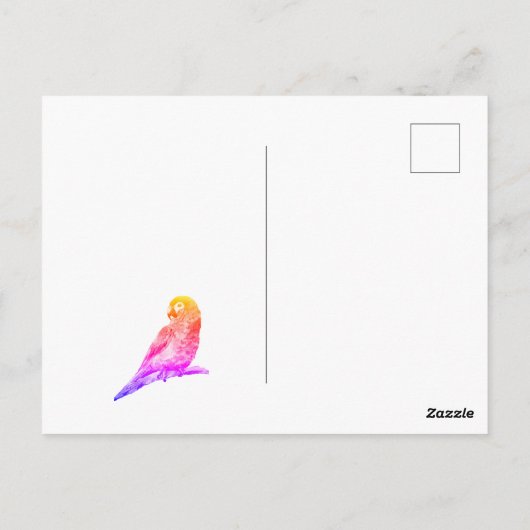 Kleiner Papagei Postkarte (Rückseite)