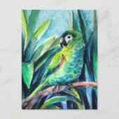 Kleiner Papagei Postkarte (Vorderseite)