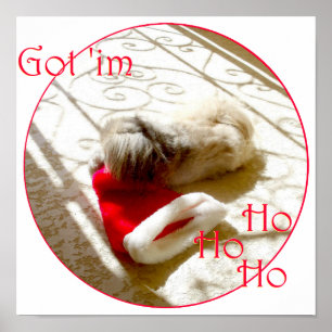 Kleiner Pekingese schnappt sich den Weihnachtsmann Poster