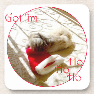 Kleiner Pekingese schnappt sich den Weihnachtsmann Untersetzer
