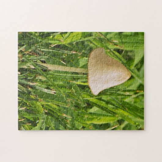 Kleiner Pilz Puzzle (Horizontal)