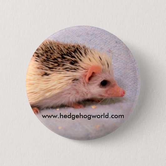 Kleiner Pintoknopf Button (Vorderseite)