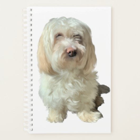 Kleiner Planer Havanese Dog (Vorderseite)