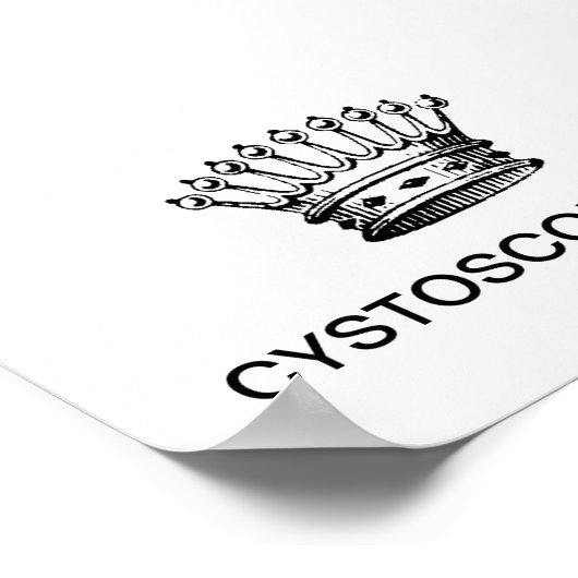 KLEINER POSTER - ZYSTOSKOPIERKÖNIG (Ecke)