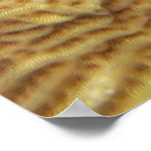 Kleiner Puffer in Korallen Poster (Ecke)