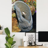 Kleiner Puffer in Korallen Poster (Heimbüro)