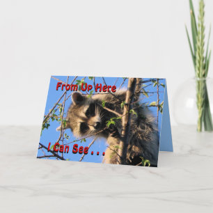 Kleiner Racoon Jede Okklusionskarte anpassen Karte