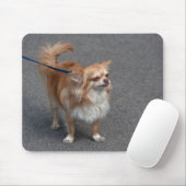 Kleiner Redhead Mousepad (Mit Mouse)