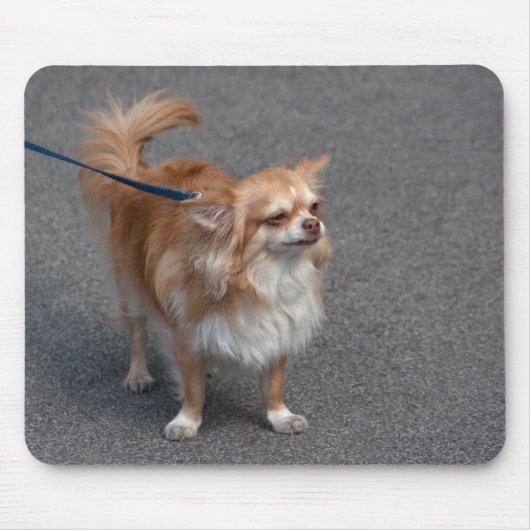 Kleiner Redhead Mousepad (Vorne)