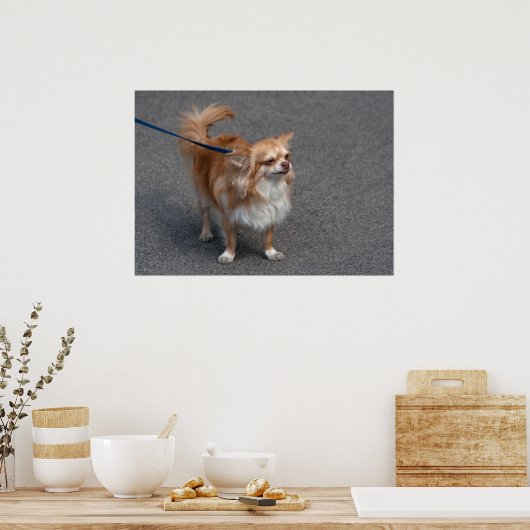 Kleiner Redhead Poster (Küche)