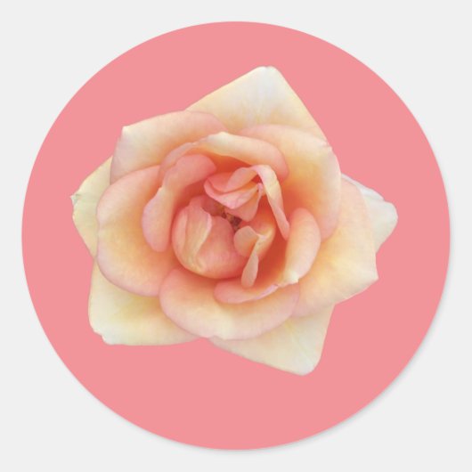 Kleiner Rosenaufkleber Runder Aufkleber (Vorderseite)