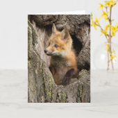 Kleiner Rotfuchs in einem Baumhaufen Karte (Gelbe Blume)