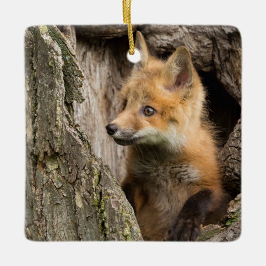 Kleiner Rotfuchs in einem Baumhaufen Keramikornament (Vorderseite)