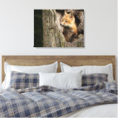 Kleiner Rotfuchs in einem Baumhaufen Leinwanddruck (Insitu (Schlafzimmer))