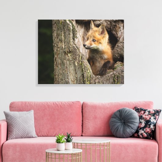 Kleiner Rotfuchs in einem Baumhaufen Leinwanddruck (Insitu (Wohnzimmer))