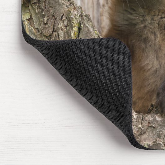 Kleiner Rotfuchs in einem Baumhaufen Mousepad (Ecke)